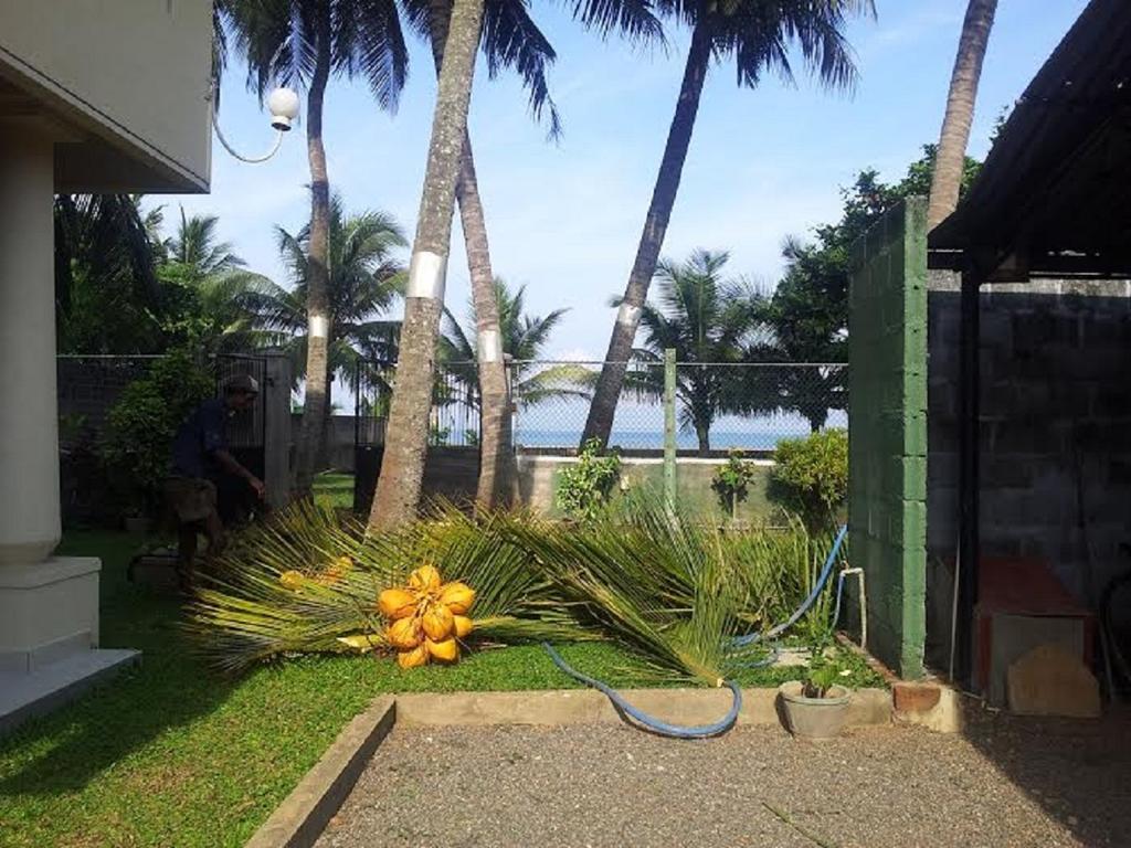 Janishi Residencies Hotel Negombo Kültér fotó